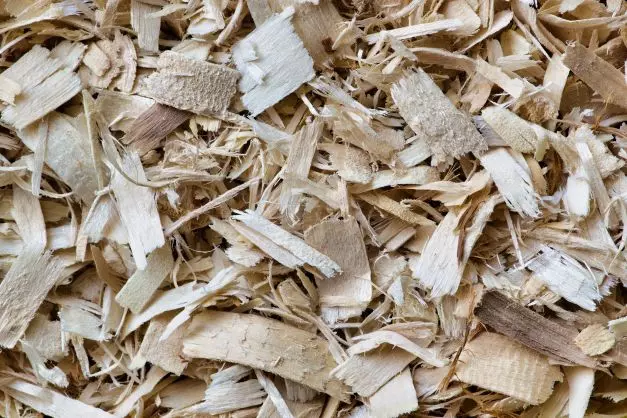 Essential Items Every Hedgehog Cage Must Include