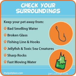 Essential Water Safety Tips Every Pet Owner Should Know