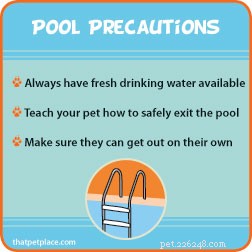 Essential Water Safety Tips Every Pet Owner Should Know