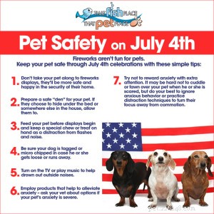 Celebrate 4th of July Safely: Pet Anxiety Prevention & Fireworks Safety Tips