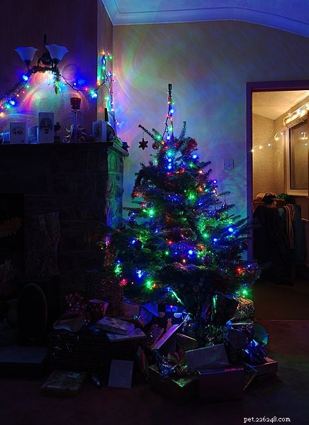 How to Keep Your Pets Safe and Happy This Holiday Season