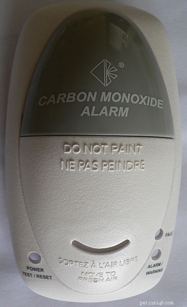 Protecting Pets from Carbon Monoxide: Essential Safety Tips