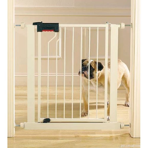 How to Prepare Your Home for a Dog Recovering From Surgery
