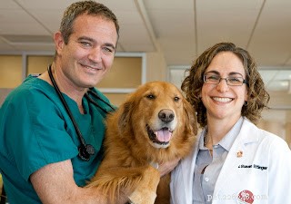 Assessing Your Pet s Quality of Life: A Practical Guide