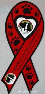 Facing Canine Cancer: Practical Steps & Support for Pet Owners