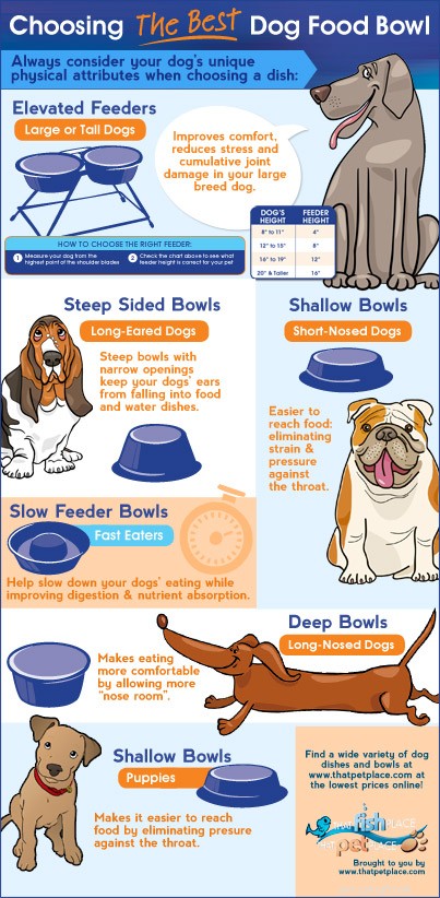 How to Pick the Perfect Dog Bowl for Your Pet