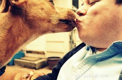 Effective Ways to Tackle Your Dog’s Bad Breath