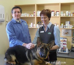 Reevaluating Pet Vaccinations: Do Your Furry Friends Really Need Them?