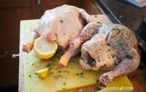 Doggie Diet Series: Part 1 – Decoding Pet Food Labels for Optimal Health