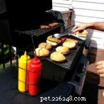 Safe Summer BBQs: Protect Your Pets While Enjoying Food