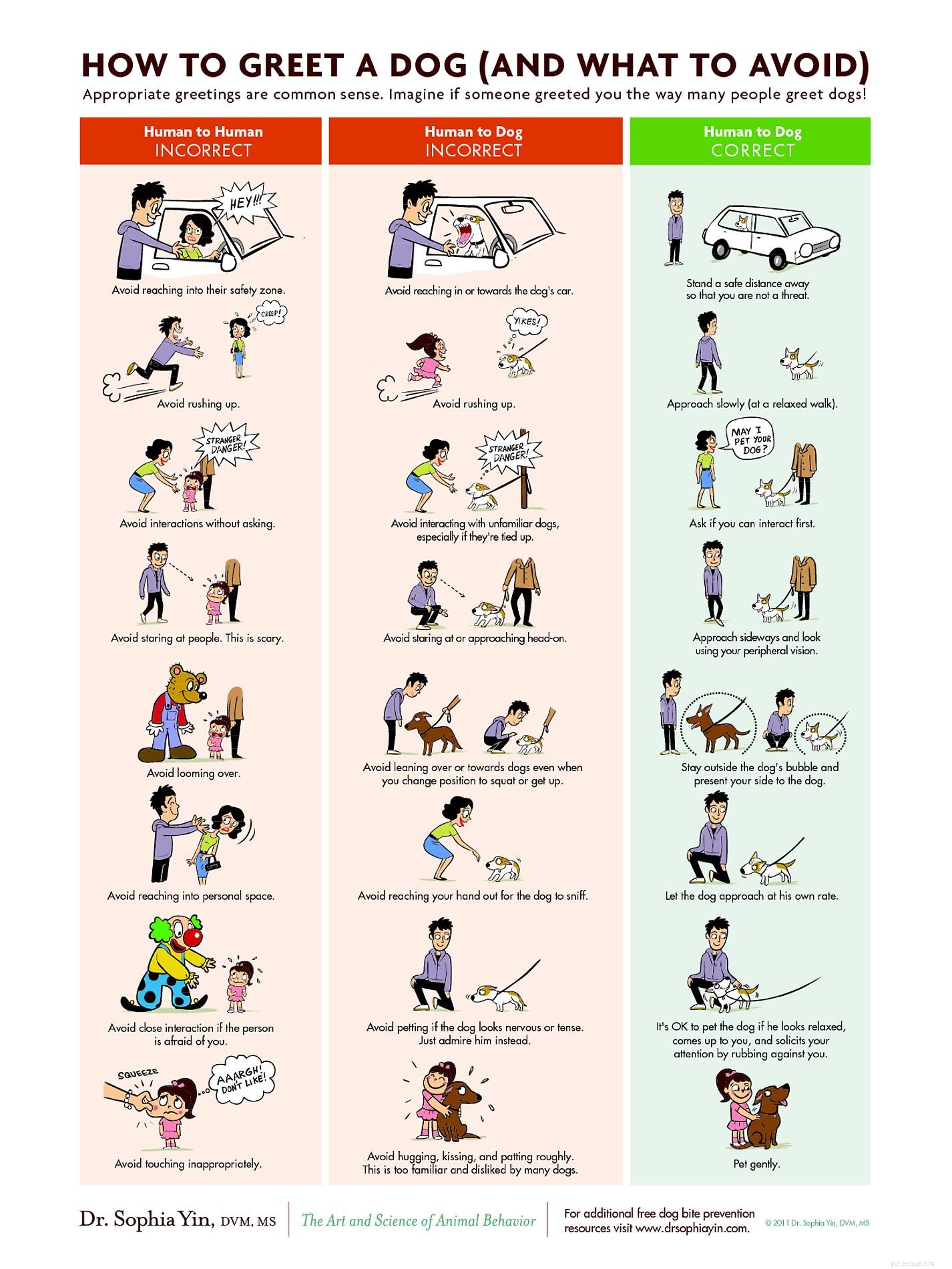 The Complete Guide to Greeting Dogs Safely and Respectfully