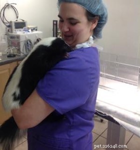 What is a Veterinary Technician s Role? Key Responsibilities & Career Insights