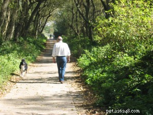 5 Trusted Free iPhone Apps for National Walk Your Dog Week