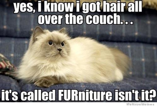 5 Trade-Offs You Make When Becoming a Pet Parent
