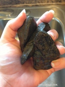 Dog Rocks Review: Do They Truly Prevent Urine Burn on Your Lawn?