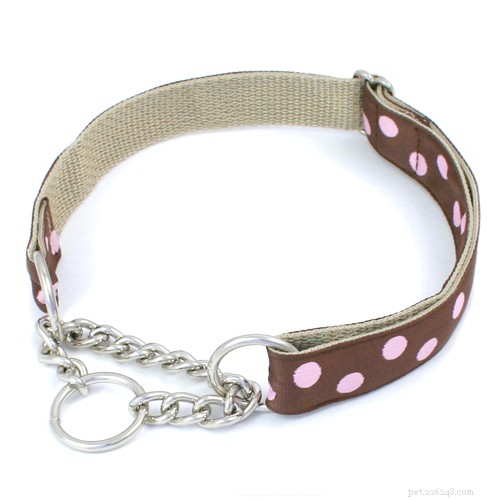The Ultimate Guide to Choosing the Right Collar, Lead, or Harness for Your Dog