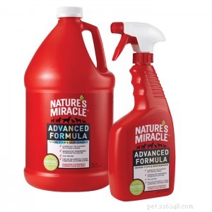 Expert Guide to Removing Pet Stains & Odors: Top Products & Proven Techniques