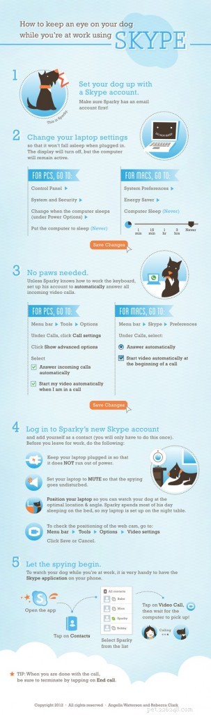 Monitor Your Pets Remotely: A Simple Guide with Webcam & Skype
