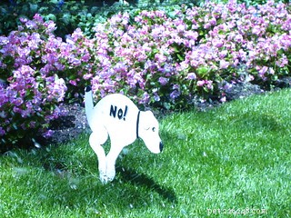 What Rights and Responsibilities Do Pet Owners Have?