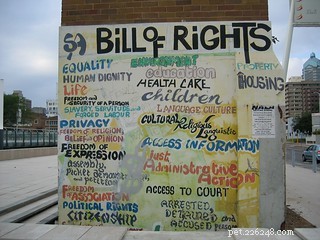 What Rights and Responsibilities Do Pet Owners Have?