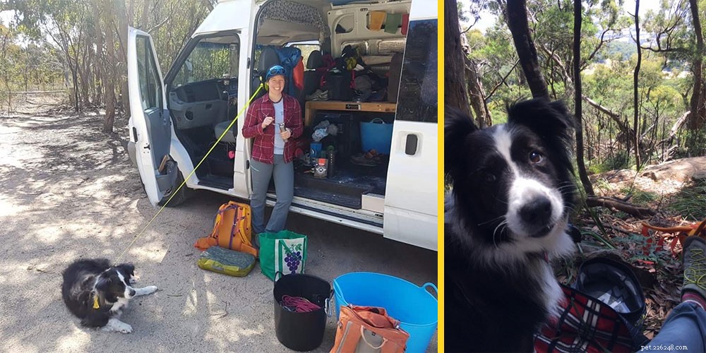 Ultimate Guide to Hiking with Your Dog: Trails, Tips, and Essentials