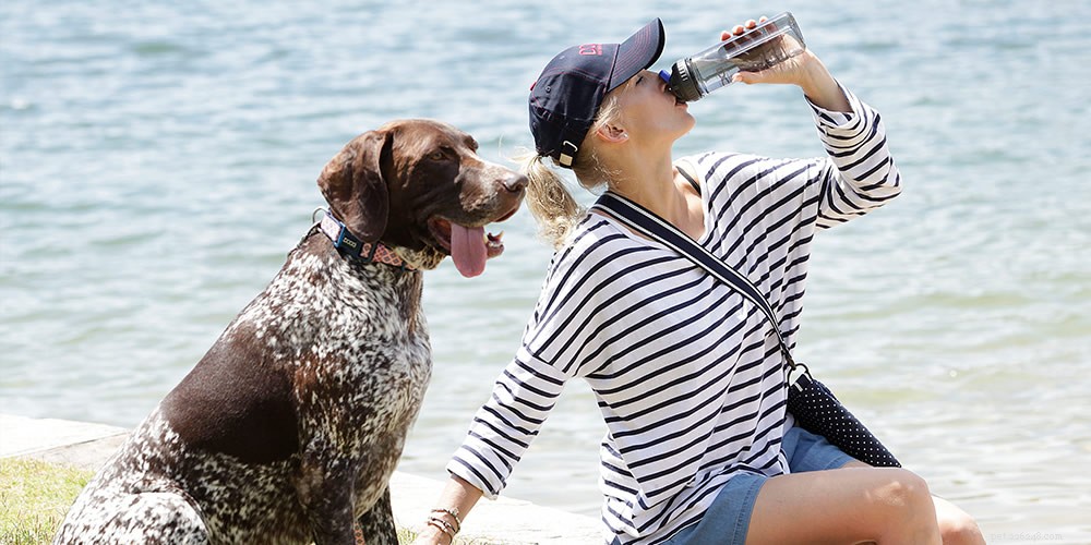 Australia’s Top Dog-Friendly Walking Routes