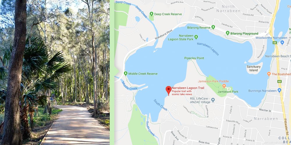 Australia’s Top Dog-Friendly Walking Routes