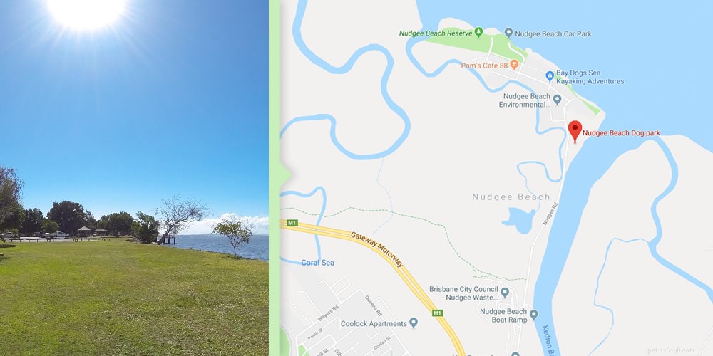 Australia’s Top Dog-Friendly Walking Routes