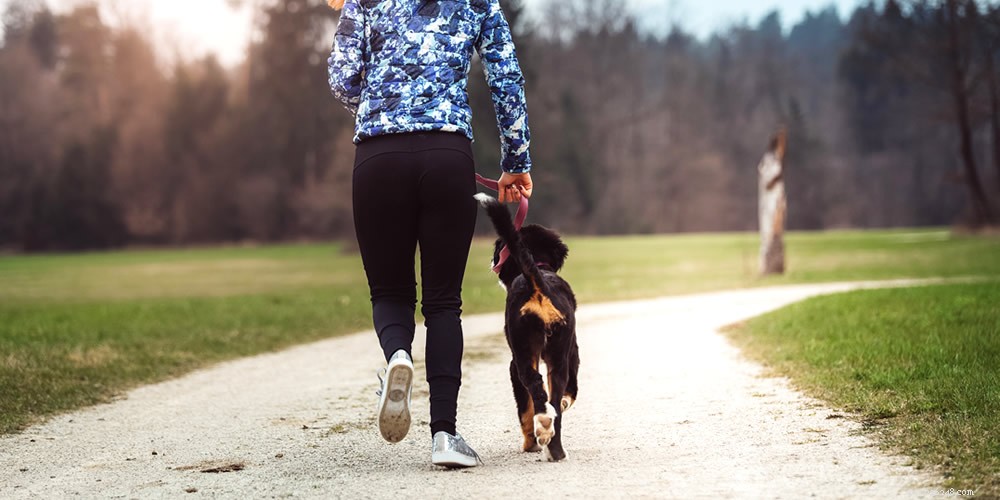 Boost Your Dog s Health: Proven Ways to Foster an Active Lifestyle