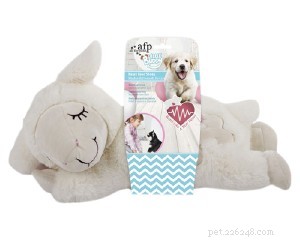 How Anxiety Relief Techniques Can Help Your Dog