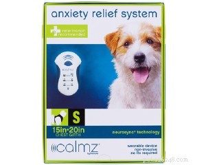 How Anxiety Relief Techniques Can Help Your Dog