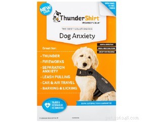 How Anxiety Relief Techniques Can Help Your Dog