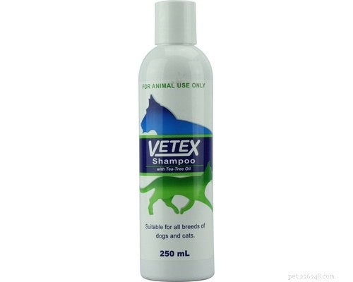Top Dog Shampoos for Sensitive Skin: Gentle Care & Relief