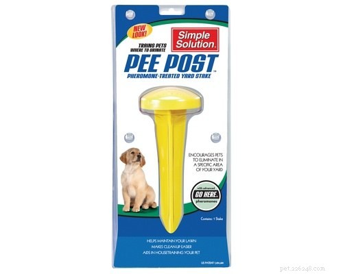 5 Effective Ways to Protect Your Lawn from Dog Urine Damage