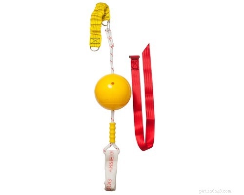 Top 8 Interactive Dog Toys to Keep Your Pup Engaged