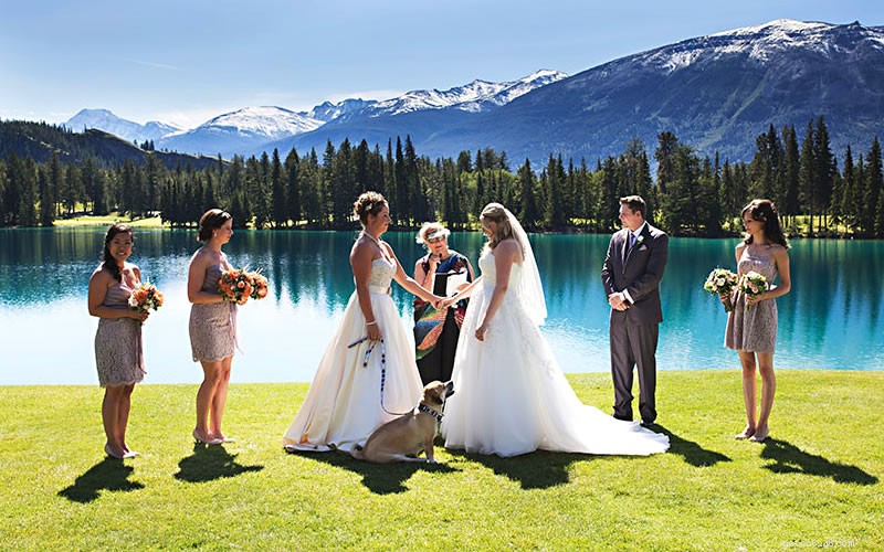 How to Include Your Dog in Your Wedding: Tips for a Memorable Day