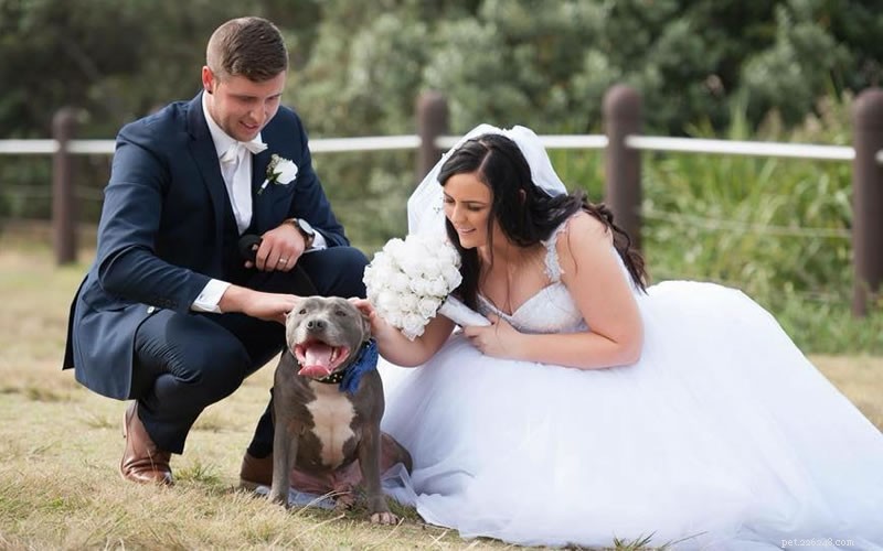How to Include Your Dog in Your Wedding: Tips for a Memorable Day