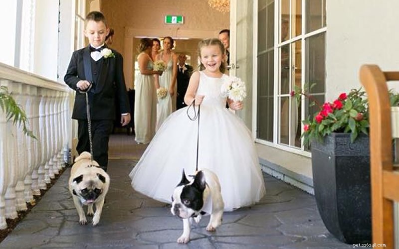 How to Include Your Dog in Your Wedding: Tips for a Memorable Day