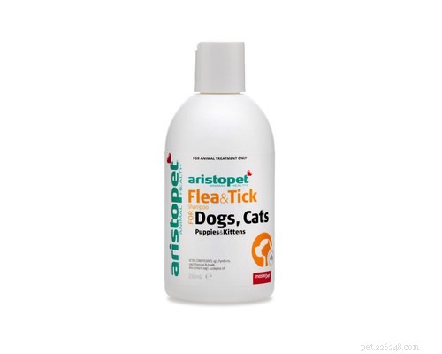 Is Human Shampoo Safe for Your Dog? A Pet Care Expert’s Guide