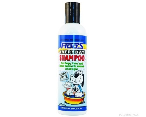 Is Human Shampoo Safe for Your Dog? A Pet Care Expert’s Guide