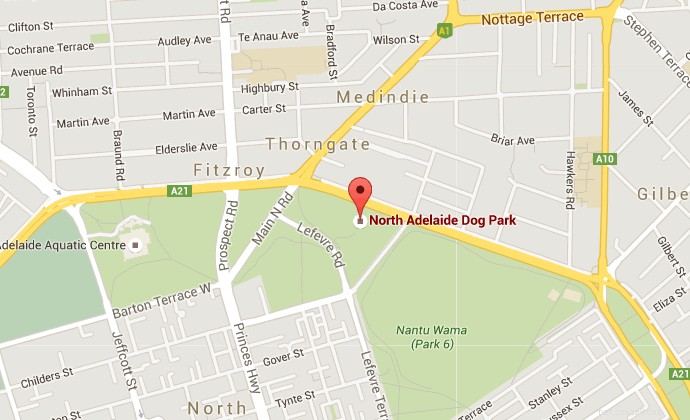 Australia’s Top Off‑Leash Dog Parks: A Comprehensive Guide