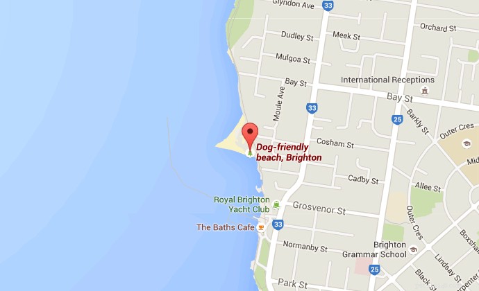 Australia’s Top Off‑Leash Dog Parks: A Comprehensive Guide