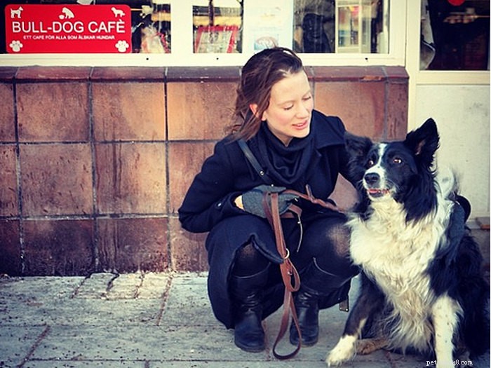 Australia’s Capital City Dog‑Friendly Cafés: Your Ultimate Guide