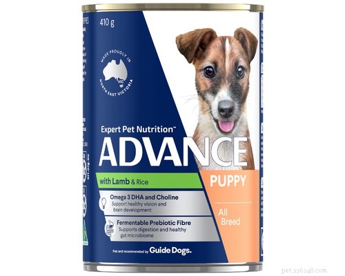 What New Year s Resolution Will Your Dog Choose?