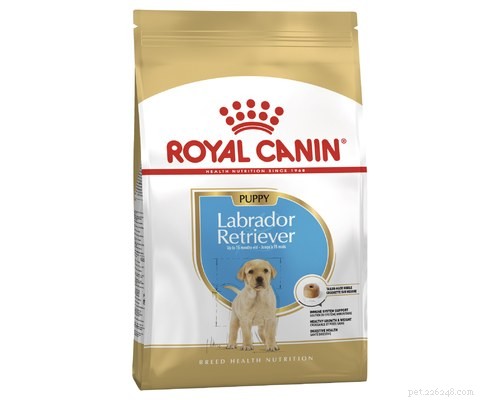 What New Year s Resolution Will Your Dog Choose?