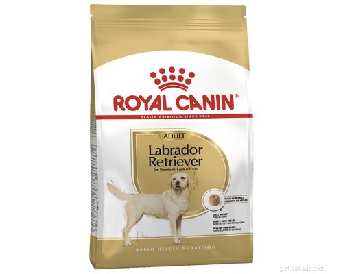 What New Year s Resolution Will Your Dog Choose?