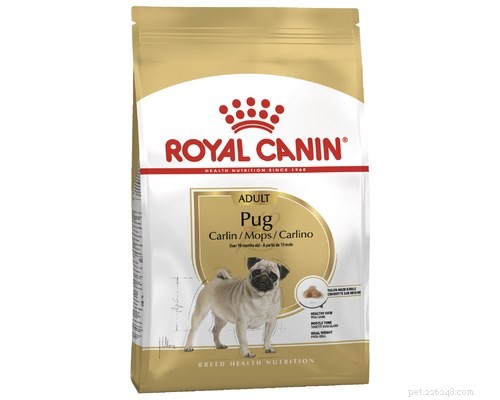 What New Year s Resolution Will Your Dog Choose?