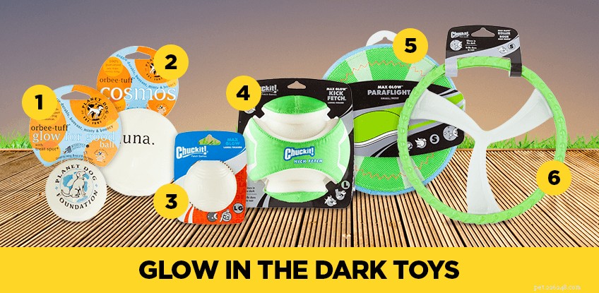 Celebrate Halloween with Your Aussie Dog: A Complete Guide