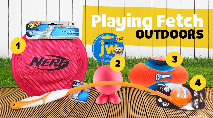 Master the Art of Teaching Your Dog to Fetch