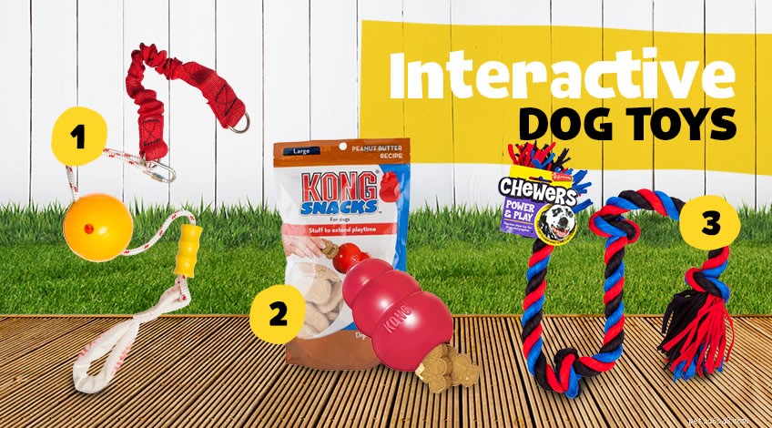 Keeping Your Dog Entertained: Expert Tips for Daily Stimulation